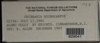 Image Associated With the Occurence